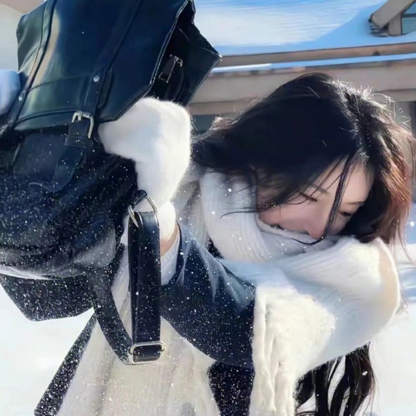 纽约行动